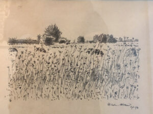 12 o.T., 1924-2 (Blühende Wiese,Büsche im Hintergrund)