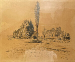19 o.T., 1927 (Einzelne Pappel mit Korbweiden)