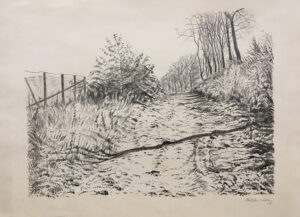 21 o.T. 1928-2 (Großer Feldweg mit Baumschatten) Druck