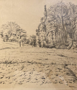 26 o.T., 1929-2 (Waldrand)